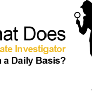 What happens during Fraud Investigations?