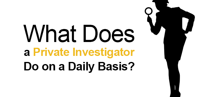 What happens during Fraud Investigations?