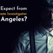 best private investigator los angeles