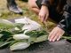Kinsey Investigations Wrongful Death Cases - The hands of an unseen person place flours on a grave marker.