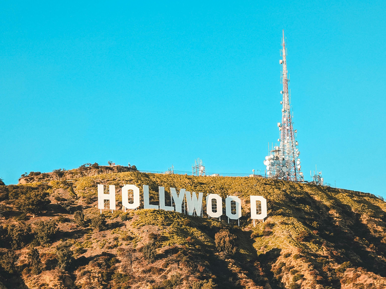 KinseyInvestigations.com West Hollywood Private Investigator - The Hollywood sign.