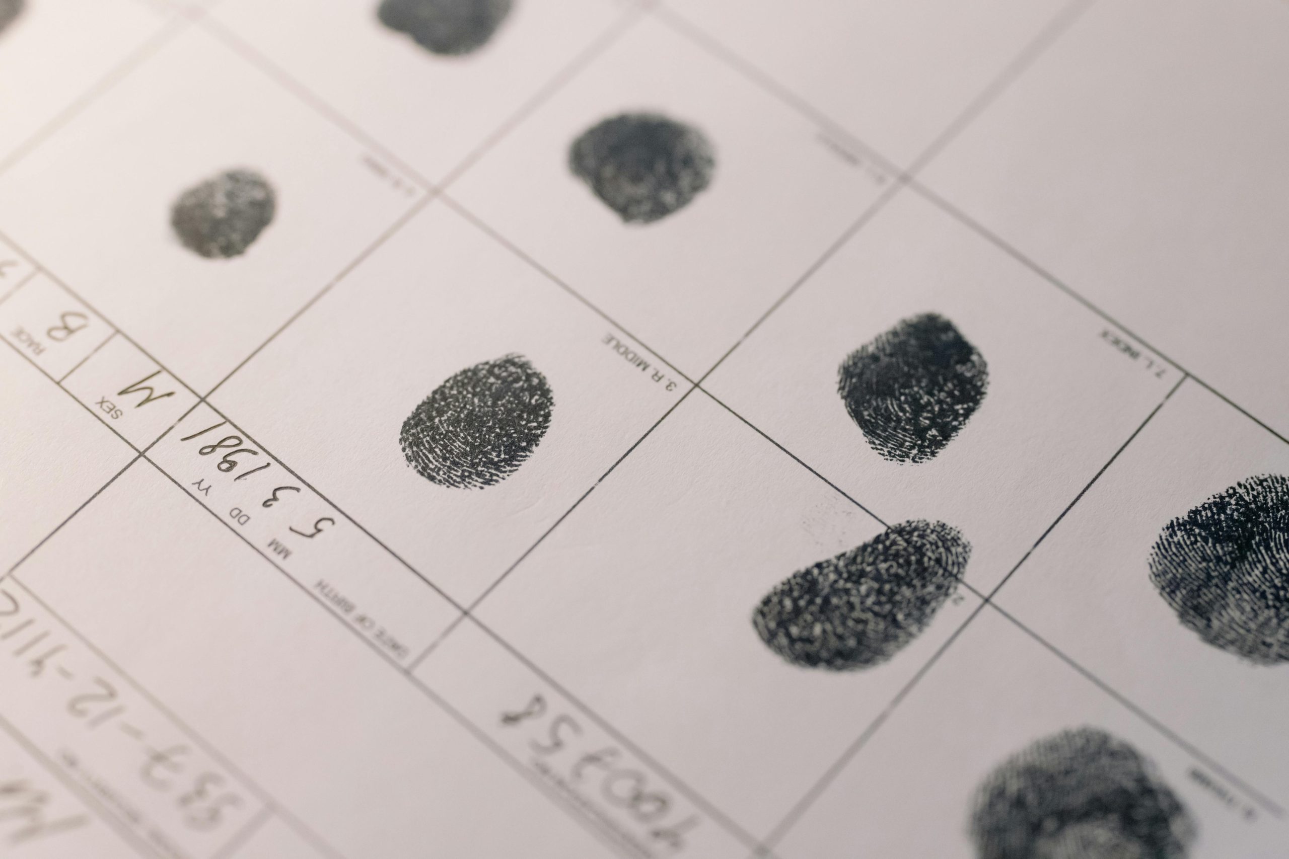 A sheet of fingerprints - Visit KinseyInvestigations.com.