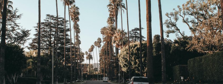 Los Angeles area private investigators - Consult Kinsey Investigations.