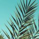 Bel Air private investigators - Consult Kinsey Investigations.