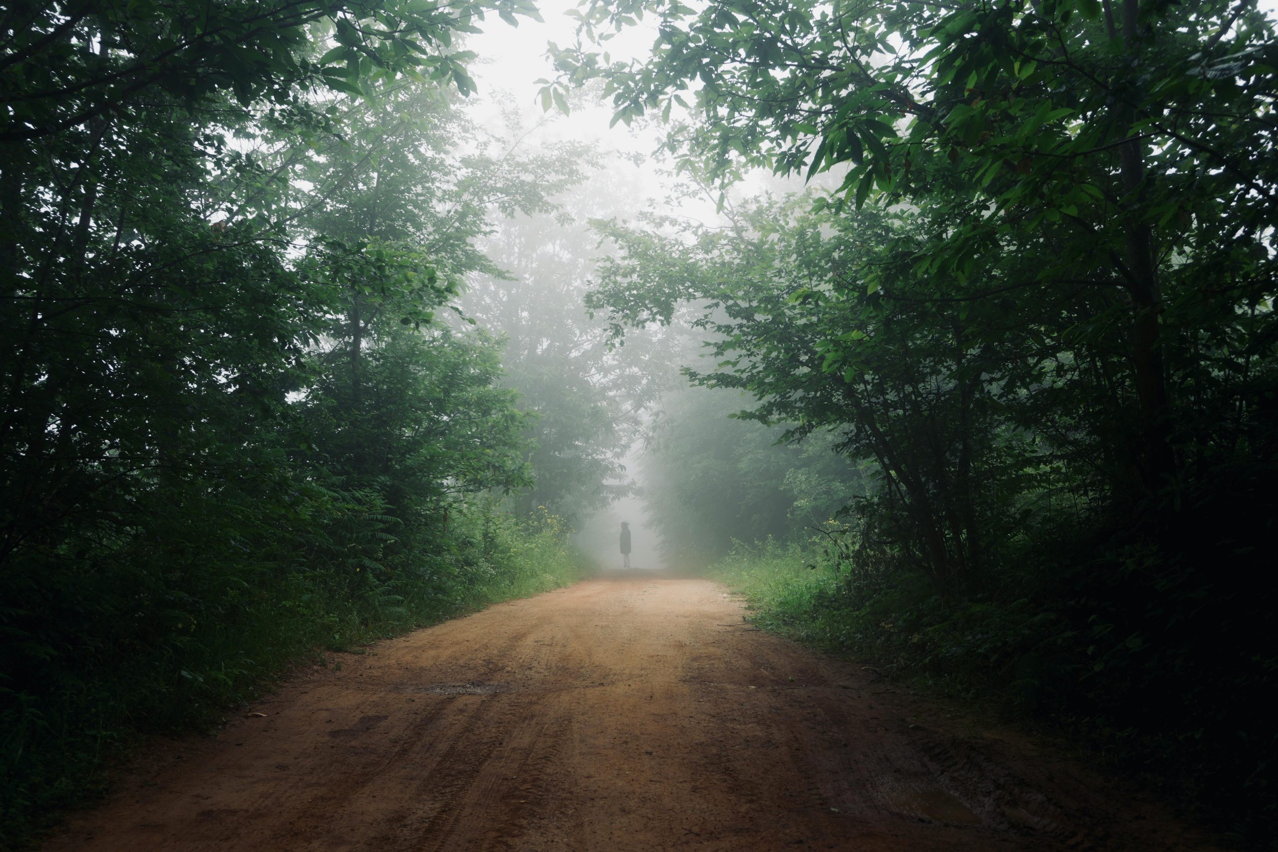 Missing person locates - Contact Kinsey Investigations.