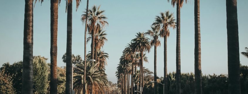 Tips for holiday travel safety - Consult Kinsey Investigations.