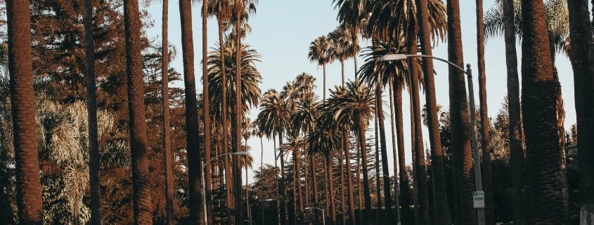 Hire a Beverly Hills private investigator - Consult Kinsey Investigations.