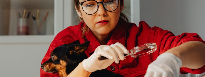 Woman-owned detective agency - Consult Kinsey Investigations.