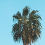 Pasadena Private Investigators - Consult Kinsey Investigations.