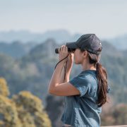 Professional surveillance operations - Consult Kinsey Investigations.